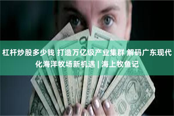 杠杆炒股多少钱 打造万亿级产业集群 解码广东现代化海洋牧场新机遇 | 海上牧鱼记