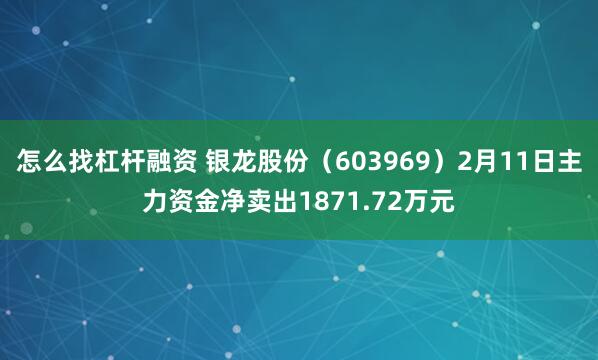 怎么找杠杆融资 银龙股份（603969）2月11日主力资金净卖出1871.72万元