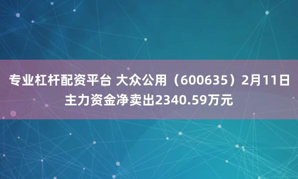 专业杠杆配资平台 大众公用（600635）2月11日主力资金净卖出2340.59万元