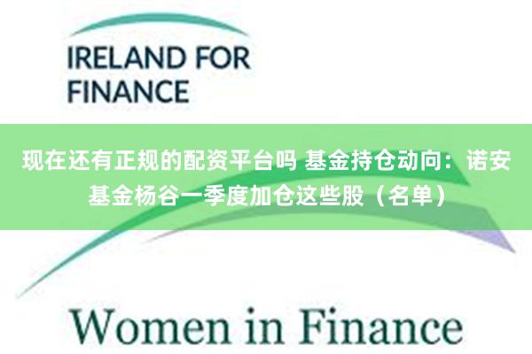 现在还有正规的配资平台吗 基金持仓动向：诺安基金杨谷一季度加仓这些股（名单）