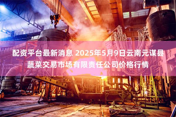 配资平台最新消息 2025年5月9日云南元谋县蔬菜交易市场有限责任公司价格行情