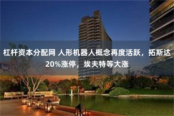 杠杆资本分配网 人形机器人概念再度活跃，拓斯达20%涨停，埃夫特等大涨