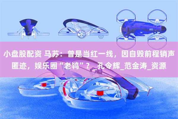 小盘股配资 马苏：曾是当红一线，因自毁前程销声匿迹，娱乐圈“老鸨”？_孔令辉_范金涛_资源