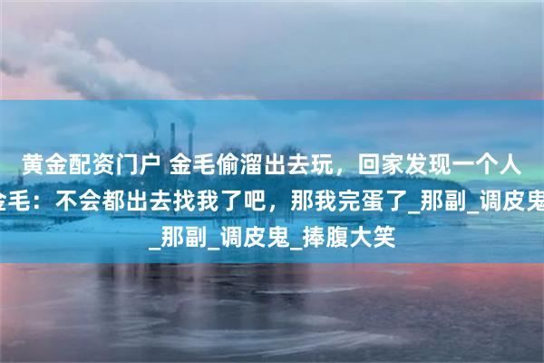 黄金配资门户 金毛偷溜出去玩，回家发现一个人都没有。金毛：不会都出去找我了吧，那我完蛋了_那副_调皮鬼_捧腹大笑