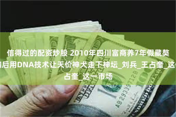 信得过的配资炒股 2010年四川富商养7年假藏獒，被骗后用DNA技术让天价神犬走下神坛_刘兵_王占奎_这一市场
