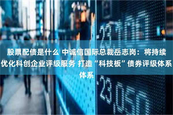 股票配债是什么 中诚信国际总裁岳志岗：将持续优化科创企业评级服务 打造“科技板”债券评级体系