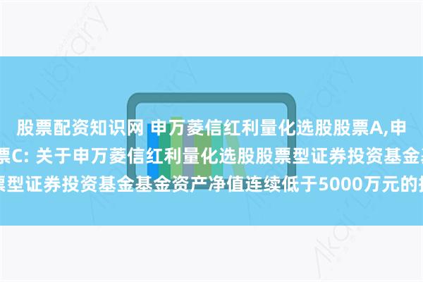 股票配资知识网 申万菱信红利量化选股股票A,申万菱信红利量化选股股票C: 关于申万菱信红利量化选股股票型证券投资基金基金资产净值连续低于5000万元的提示性公告