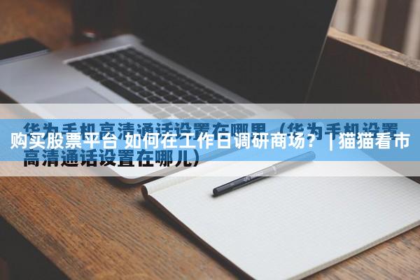 购买股票平台 如何在工作日调研商场？ | 猫猫看市