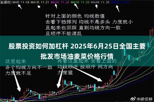 股票投资如何加杠杆 2025年6月25日全国主要批发市场油麦菜价格行情