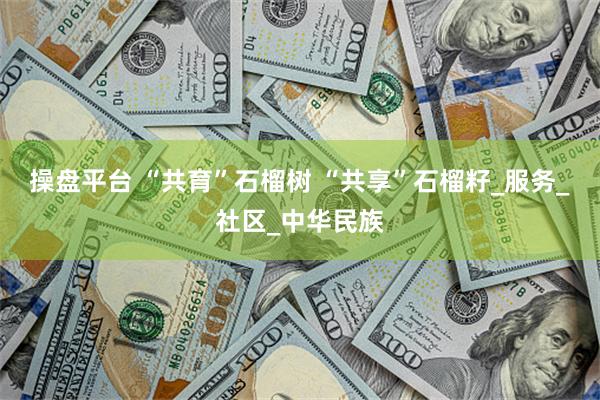 操盘平台 “共育”石榴树 “共享”石榴籽_服务_社区_中华民族