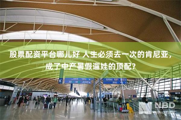 股票配资平台哪儿好 人生必须去一次的肯尼亚，成了中产暑假遛娃的顶配？