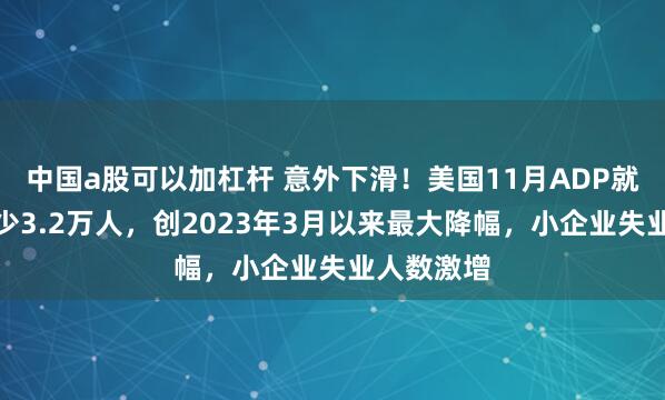 中国a股可以加杠杆 意外下滑!美国11月ADP就业人数减少3.2万人,创2023年3月以来最大降幅,小企业失业人数激增