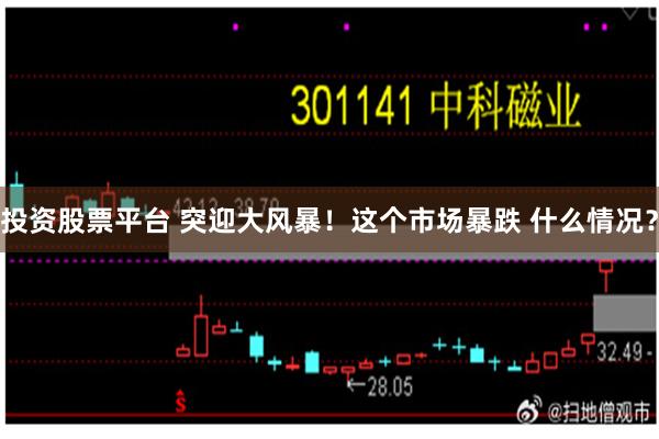 投资股票平台 突迎大风暴!这个市场暴跌 什么情况?